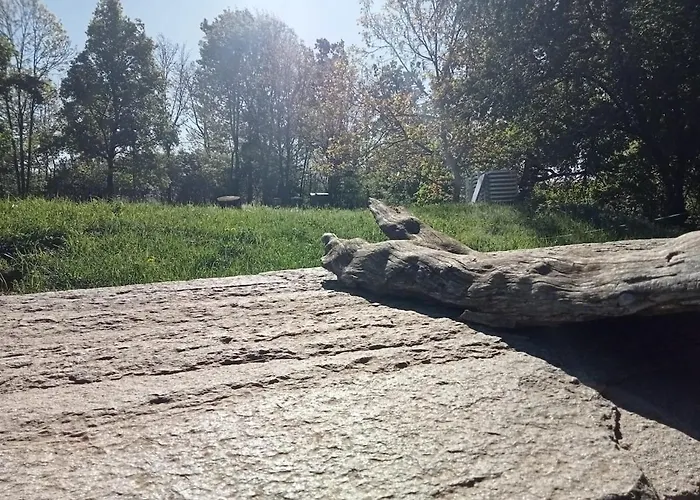 Un Nella Natura Daire